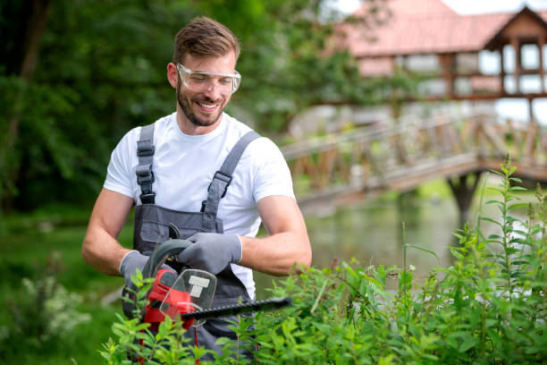 Tree Services